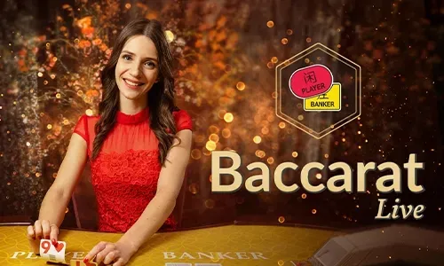 Daily Cashback Promotion